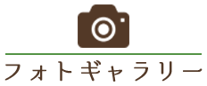 フォトギャラリー