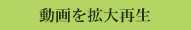 動画を拡大再生