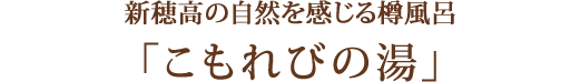 新穂高の自然を愛でる小さな高原の宿