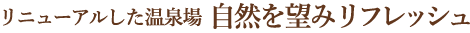 ほっこり内湯はレトロな温泉場の雰囲気